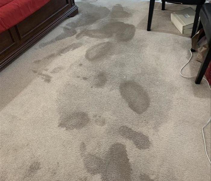 grey carpet that has water damage and you can see wet spots